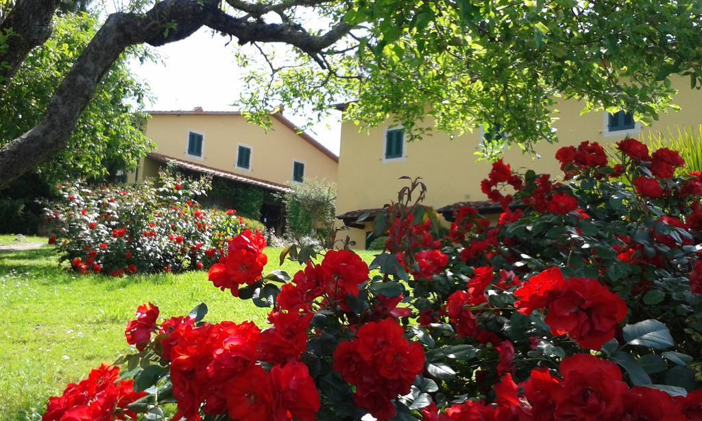 Casa Vacanze Casa Italia Lamporecchio Exterior photo